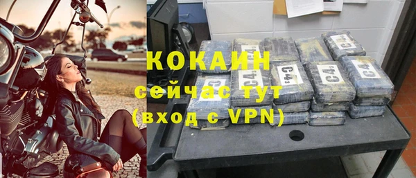 ALPHA PVP Горняк