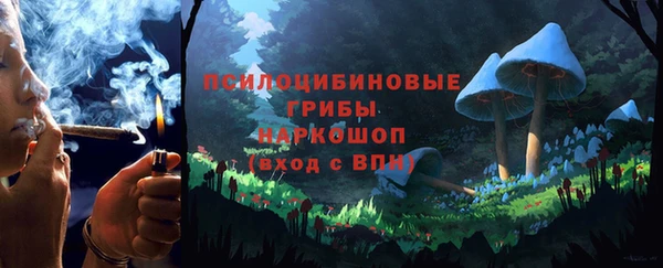 трава Дмитриев